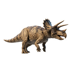 Realistic triceratops dinosaur walking with open mouth on transparent background side view for scientific paleontology design