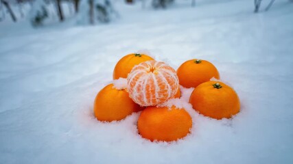 Winter's sweet surprise bright oranges nestled in fresh snow creating a vibrant contrast, a refreshing treat in a cold landscape, juicy vitamin boost