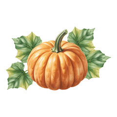 Vibrant Orange Pumpkin with Lush Green Leaves Symbolizing Autumn Harvest Displaying Seasonal Decoration and Natural Beauty