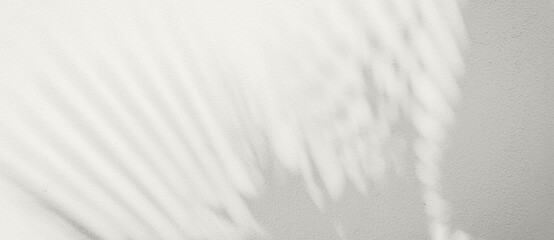 Soft palm leaf shadows cast on a light neutral background. Color of the Year 2026, Cloud Dancer