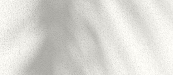 Soft palm leaf shadows cast on a light neutral background. Color of the Year 2026, Cloud Dancer