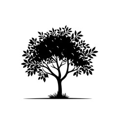 Obraz premium Orange Tree with Ripe Oranges and Green Leaves Vector Illustration