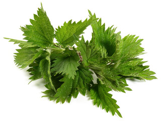 Food and Health - Stinging Nettle on white Background