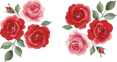 Obraz premium Delicate watercolor painting of red and pink roses with green leaves on a white background
