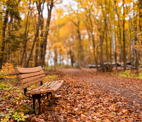 Jesień w parku © lech