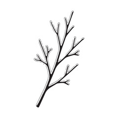 Hand-drawn branch illustration minimalist vector design element isolated on white background for botanical designs