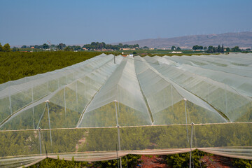 Andalusian summer hills in Spain with warm dry land and clear blue sky create a bright peaceful Mediterranean landscape