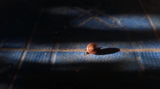 Dramatic macro close-up of a small glass snail slowly emerging from its translucent shell on a textured floor under a cinematic beam of light, symbolizing slow effort and patience.