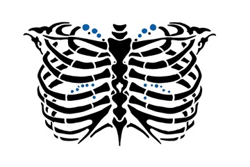 Artistic Design of Human Skeleton Evoking Butterfly Shape with Blue Accents for Creative Illustrations and Graphics