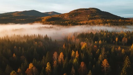 Autumn forest landscape with misty valleys and mountain ridges at sunrise