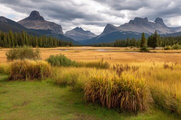 ​Mountain Majesty Over Golden Fields 