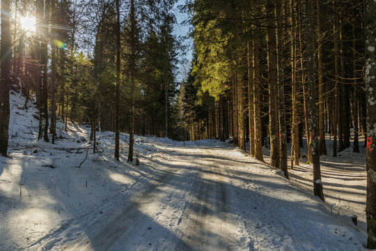 panoramica con vista su di una strada sterrata che attraversa un bosco naturale innevato, tra le alte colline della Slovenia occidentale, di pomeriggio, con meteo sereno, in inverno