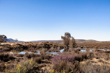 Mountain Landscape With Wetlands and Clear Blue Sky