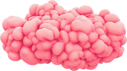 Obraz premium A mesmerizing cluster of pink, bulbous forms with intricate mesh-like textures, resembling abstract organic cells or a digital biological mass. background removed