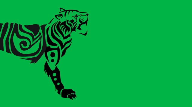 Stylized black tiger walking proudly on green screen chromakey background. Fierce loopable 2d animated cartoon animation great for jungle, wildlife, predator, and powerful animal character scenes.