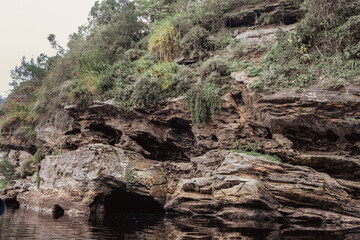 Rocky Riverbank Cliff with Lush Vegetation in Natural Landscape