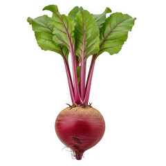 Fresh beet root isolated on transparent background