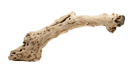 Fototapeta premium A natural light-brown piece of intricate, hole-riddled driftwood with a curved shape, isolated on a solid transparent background. background removed