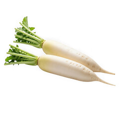 Two white radishes isolated on transparent background