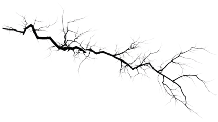 Stylized bare tree branch with intricate white frosty details, ideal for winter themes or nature-inspired graphic designs. background removed