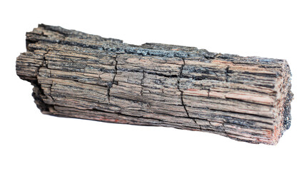 A weathered, charred wood stick or charcoal piece, featuring dry, cracked textures and dark tones, isolated on a clean background. background removed
