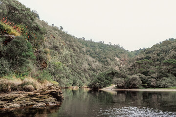 Peaceful River Bend Flowing Through Lush Forested Valley with Rocky Edges and Indigenous Vegetation – Garden Route South Africa