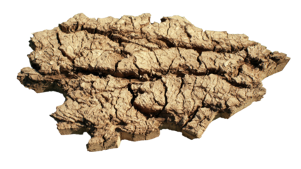 A textured, light brown piece of dry, cracked earth or mud with deep fissures, isolated on a transparent background, perfect for natural texture overlays. background removed