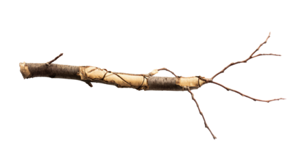 A detached tree branch with peeling bark and small twigs extends horizontally on a solid transparent background, highlighting its natural textures. background removed