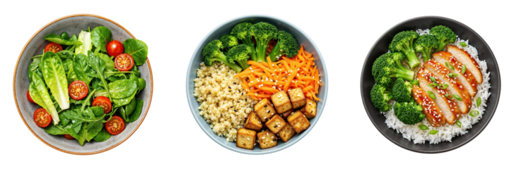 Set of various green salads bulgur tofu broccoli bowls and rice teriyaki chicken bowls isolated on transparent background