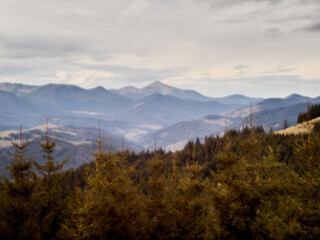 Misty mountain defocused landscape with layers of ridges fading into distance. Evergreen trees dominate foreground, while muted blue and gray hues of mountains and sky create atmospheric scene.