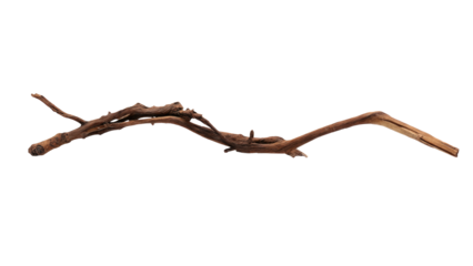 A long, dark brown, gnarled piece of natural driftwood or a weathered tree branch, isolated horizontally on a transparent background. background removed