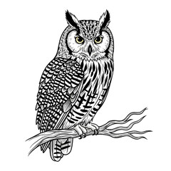 Detailed Line Art Illustration of an Owl Perched on a Branch.
