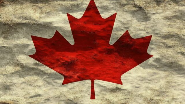 Video A single red maple leaf sits amidst a grungy, textured backdrop