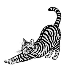 Stretching Striped Cat Illustration - A Detailed Black and White Drawing. © Taufiq