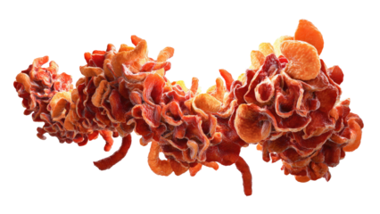 Microscopic 3D rendering depicting a cluster of vibrant red and orange cancerous cells with irregular shapes, rough textures, and cellular protrusions. background removed