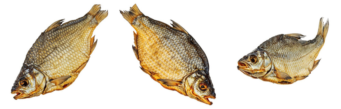 Set of various whole dried fish isolated on transparent background