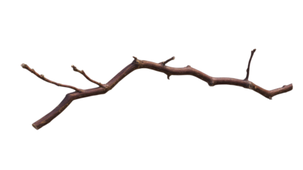A long, gnarled brown tree branch with small buds, isolated on a transparent background, perfect for design elements or seasonal themes. background removed