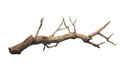 An isolated, weathered piece of natural driftwood or dried tree branch, perfect for aquatic habitats, terrariums, or rustic home decor. background removed