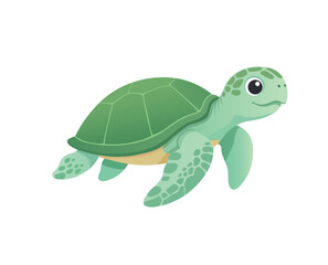 Cute Green Baby Sea Turtle Swimming