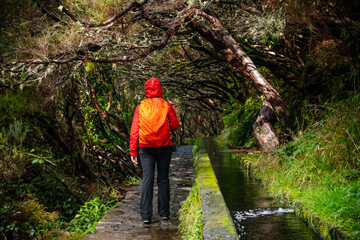 Tourist on Levada do Norte on the Portuguese island of Madeira. Levada irrigation canal. Hiking in Madeira. Narrow path next to the levada. Green mountains and ocean in background.