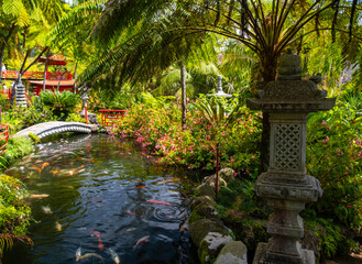 Serene Koi fish pond in Monte Palace tropical garden on Madeira surrounded by lush greenery, featuring colorful fish and serene scenery