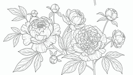 Fototapeta premium Elegant Peony Outline Illustration: Botanical Drawing with Buds and Leaves for Coloring Book, Decoration, or Design Projects featuring floral beauty and simplicity.