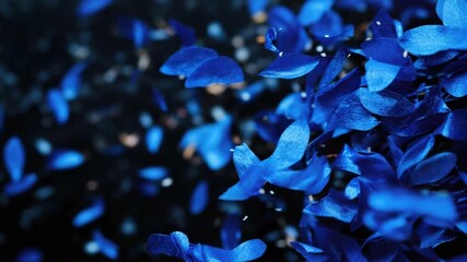 Video A close-up of a bunch of blue flowers