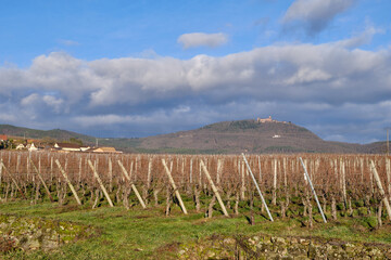 2024, 30 December, Alsace, December: view of Vineyards at Chateau de Kaysersberg