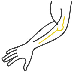 Ulnar