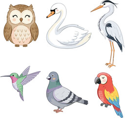 Set of six cute cartoon vector illustrations of various birds, including owl, swan, heron, hummingbird, pigeon, and colorful parrot, symbolizing wildlife, nature, and fauna art