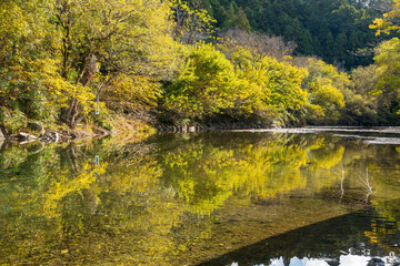 静岡県浜松市　清流「阿多古川」11月秋の風景

