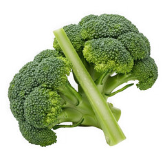 Fresh broccoli isolated on transparent background