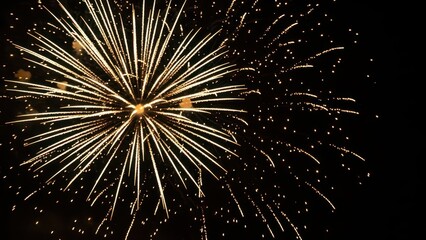 Bright golden fireworks exploding in the dark night sky.