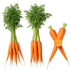Fresh carrots isolated on transparent background